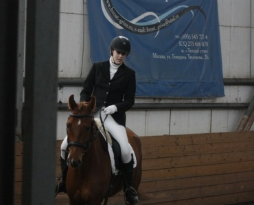 Школа верховой езды: с чего начать?