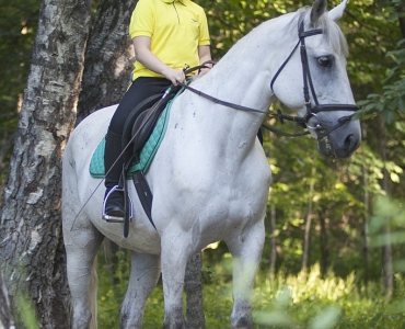 Фотосессии с лошадьми 21