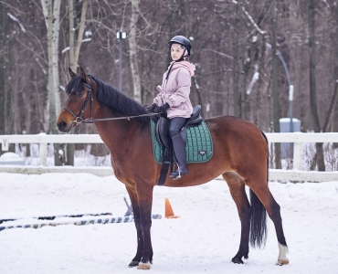 Фотосессии с лошадьми 37