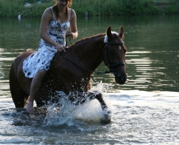 Фотосессии с лошадьми 54