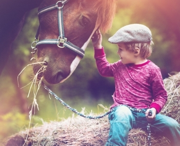 Фотосессии с лошадьми 55