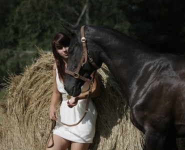 Фотосессии с лошадьми 56