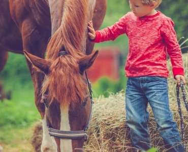 Фотосессии с лошадьми 57