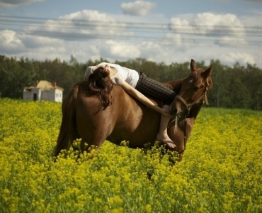 Фотосессии с лошадьми 60