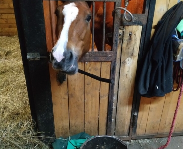 Детские праздники 5