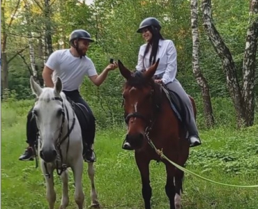 proposal