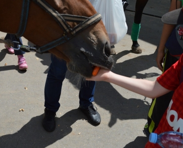 Детские праздники 14