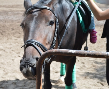 Детские праздники 22