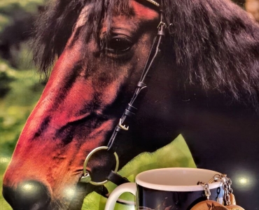 IMG_20251119_130331_115