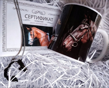 IMG_20251119_130335_651