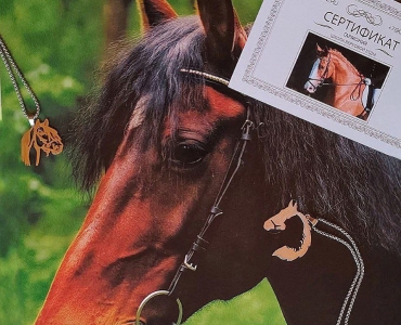 IMG_20251119_130357_536