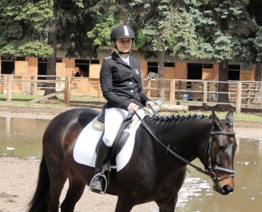 Соревнования 